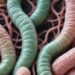 H-pylori: Build Good Habits